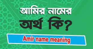 Amir name meaning bangla আমির নামের অর্থ